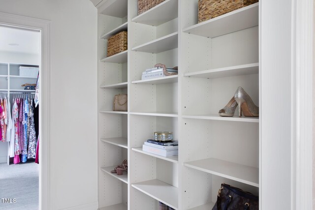 123 Trellingwood Dr, Morrisville, NC 27560 - view of walk in closet