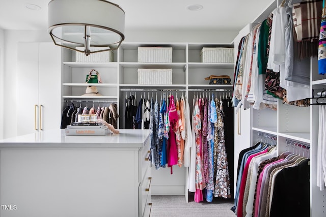 123 Trellingwood Dr, Morrisville, NC 27560 - walk in closet with carpet