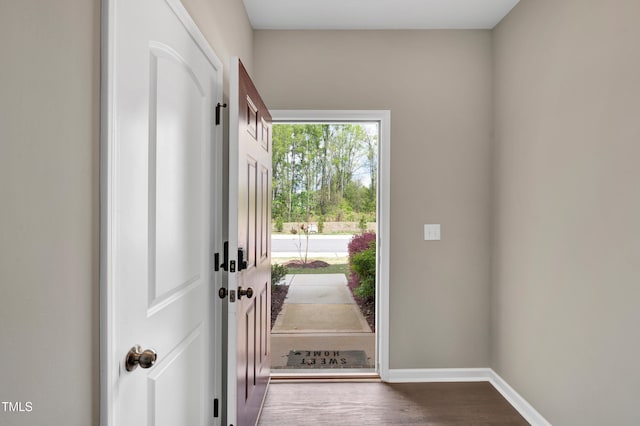 41 Willow Green Dr, Clayton, NC 27527 - foyer featuring wood finished floors and baseboards