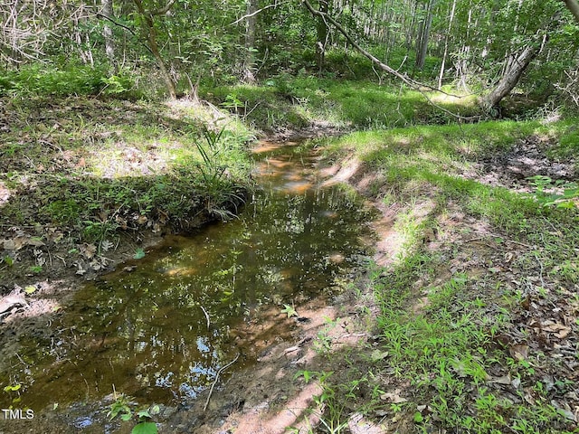 00 Gentry- Massey Rd, Roxboro, NC 27574