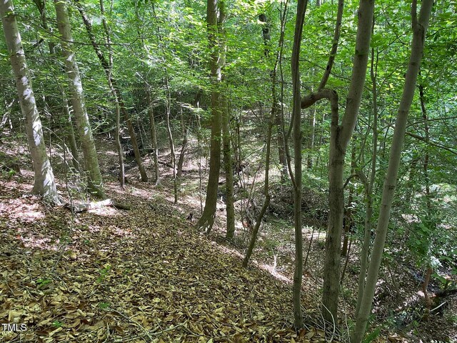 00 Gentry- Massey Rd, Roxboro, NC 27574
