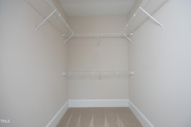walk in closet with carpet flooring