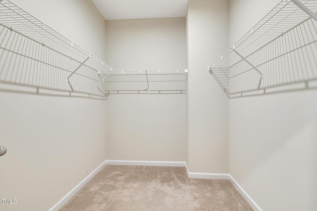 walk in closet with carpet