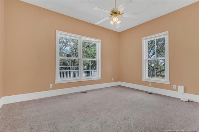 300 Highland Ave, Fayetteville, NC 28305 - photo 24