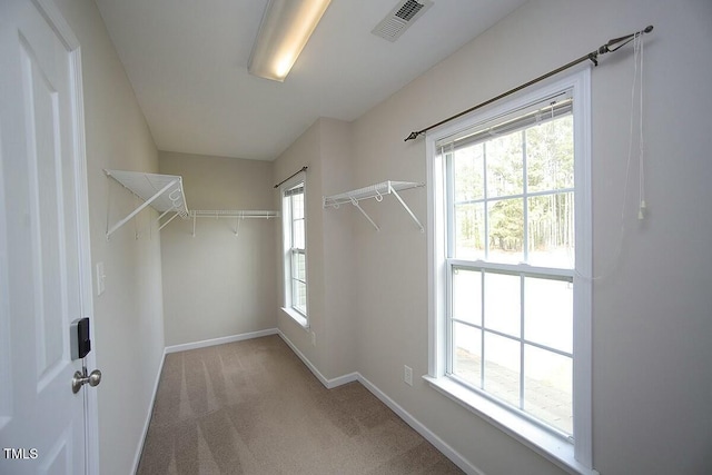 spacious closet with visible vents and carpet flooring