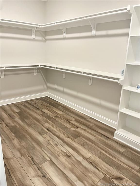 spacious closet with dark wood finished floors
