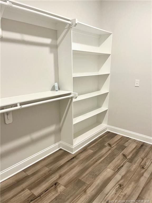spacious closet featuring wood finished floors