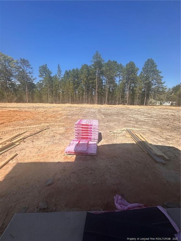 161 Merle Rd, Pinebluff, NC 28373 - view of parking / parking lot