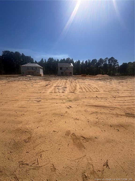151 Merle Rd, Pinebluff, NC 28373 - photo 3