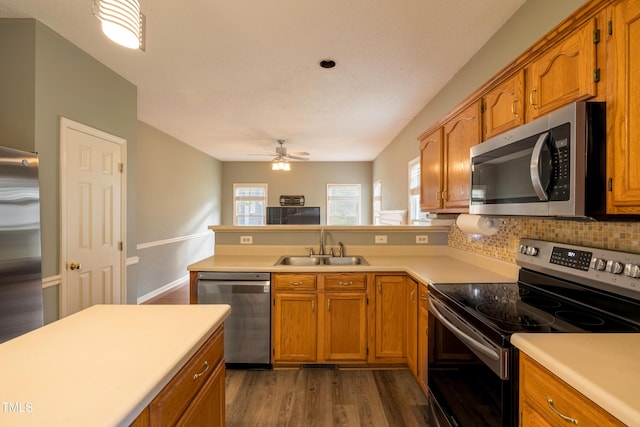 kitchen with a peninsula, appliances with stainless steel finishes, a sink, and plenty of natural light