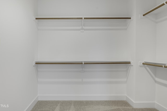 spacious closet featuring carpet
