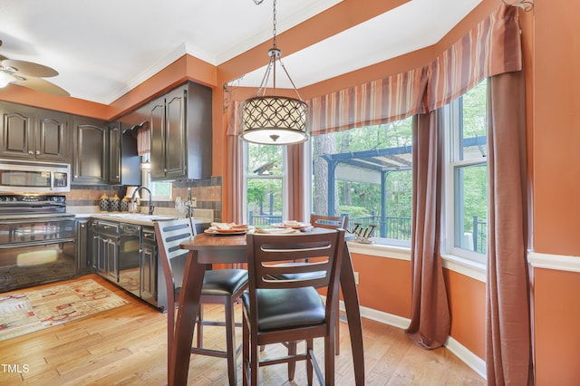 117 Vicksburg Dr, Cary, NC 27513 - kitchen featuring black / electric stove, a healthy amount of sunlight, stainless steel microwave, light wood-type flooring, and baseboards