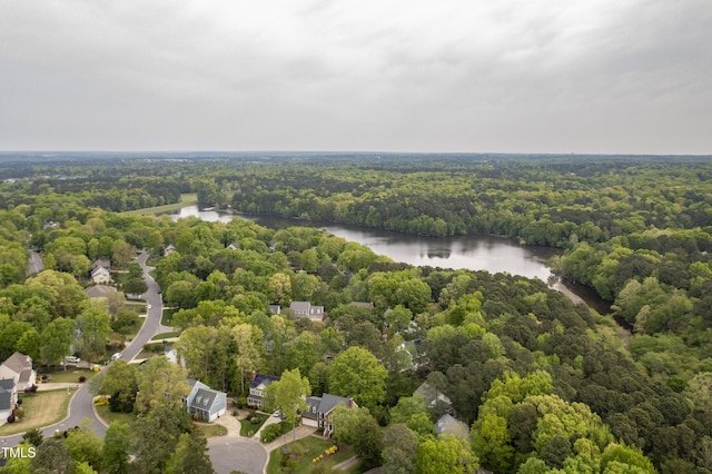 117 Vicksburg Dr, Cary, NC 27513 - bird's eye view with a wooded view and a water view