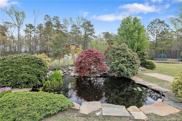 4891 Hummingbird Pl, Fayetteville, NC 28312 - view of community featuring a trampoline and a garden pond