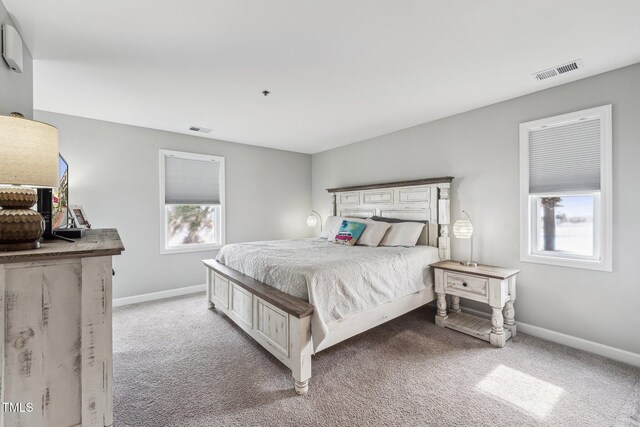 790 New River Inlet Rd Unit 113B, North Topsail Beach, NC 28460 - bedroom featuring visible vents, light carpet, and multiple windows