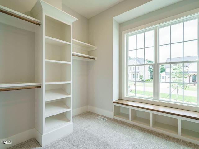 921 Lily Claire Ln, Fuquay Varina, NC 27526 - spacious closet featuring carpet floors