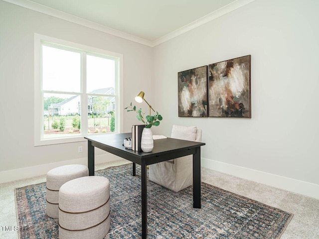 921 Lily Claire Ln, Fuquay Varina, NC 27526 - carpeted home office with baseboards and ornamental molding