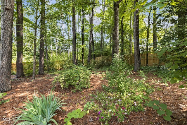 105 Cavendish Dr, Cary, NC 27513 - view of undeveloped land