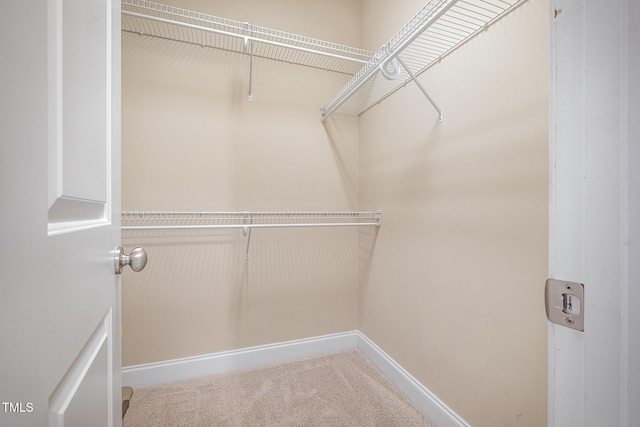 spacious closet with carpet