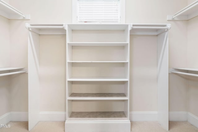 spacious closet featuring carpet floors