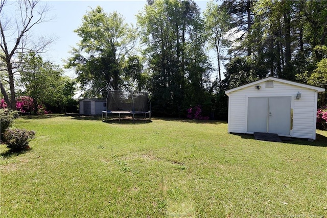 view of yard featuring a trampoline, an outbuilding, and a storage unit