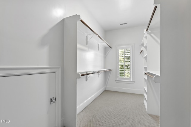 523 Vick Ave, Raleigh, NC 27612 - walk in closet with light carpet