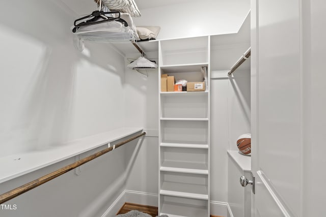 523 Vick Ave, Raleigh, NC 27612 - view of spacious closet