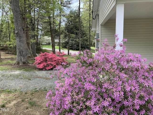505 E Graham St, Mebane, NC 27302 - view of yard