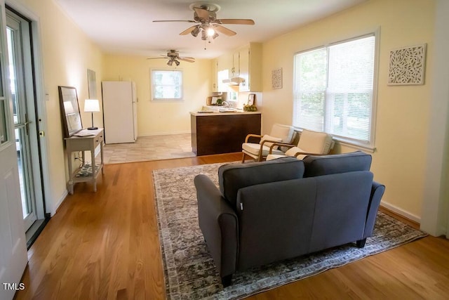 505 E Graham St, Mebane, NC 27302 - living room featuring a ceiling fan and light wood finished floors