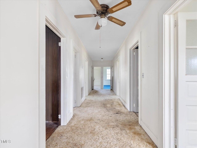 hallway with carpet