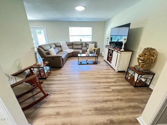 living area with baseboards, light wood-type flooring, plenty of natural light, and a textured ceiling