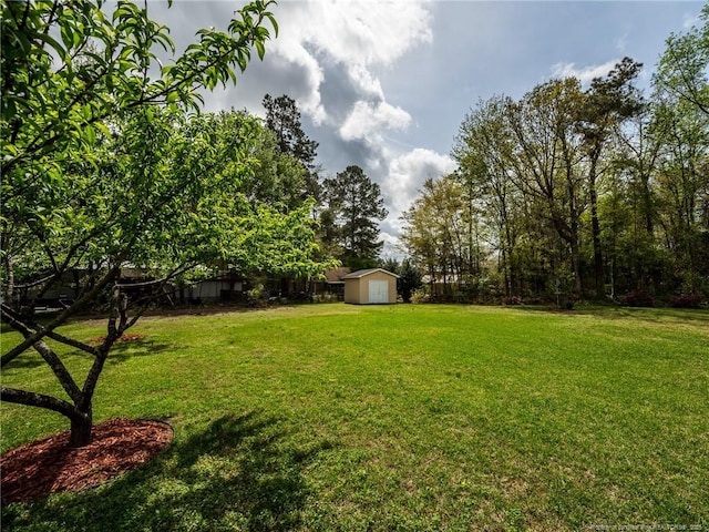 49 Alyssa Ct, Lumberton, NC 28360 - view of green lawn featuring a shed and an outdoor structure