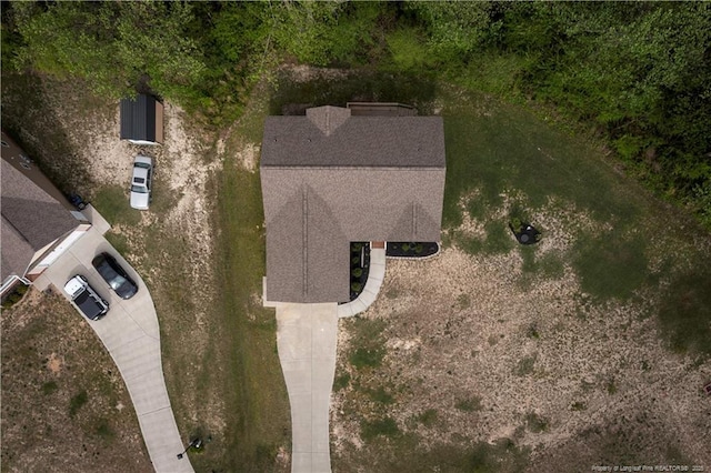 bird's eye view