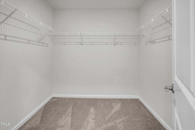 1412 Smoky Mountains St, Durham, NC 27713 - walk in closet with carpet flooring