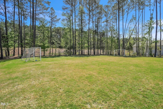 1412 Smoky Mountains St, Durham, NC 27713 - view of yard