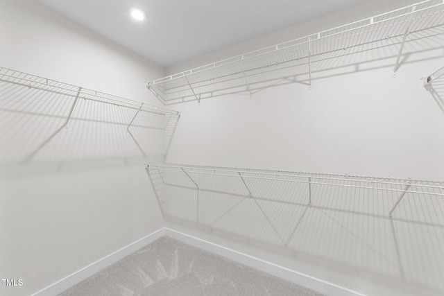 3700 Horton Hill Dr, New Hill, NC 27562 - walk in closet with carpet