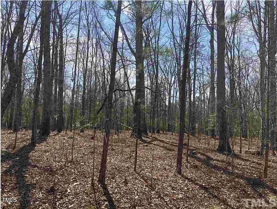 70 Hoover Hill Ln, Bear Creek, NC 27207