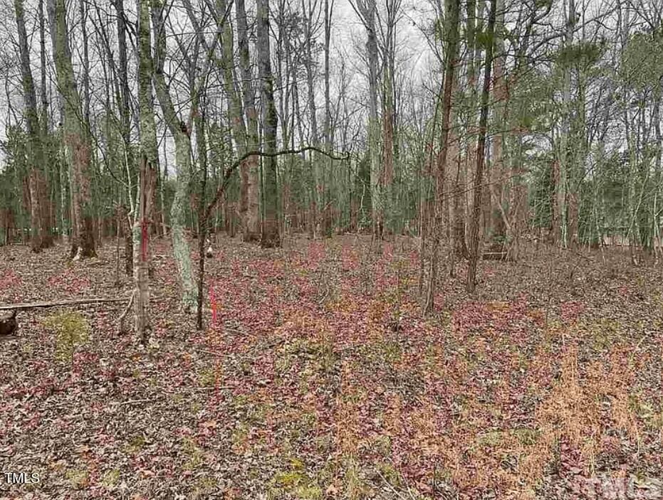 70 Hoover Hill Ln, Bear Creek, NC 27207
