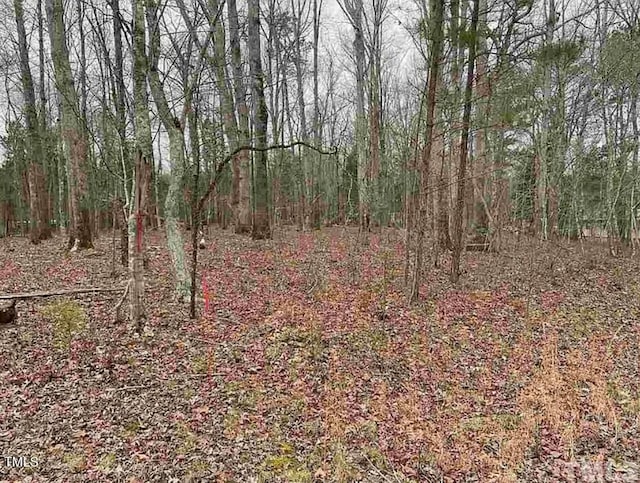 70 Hoover Hill Ln, Bear Creek, NC 27207