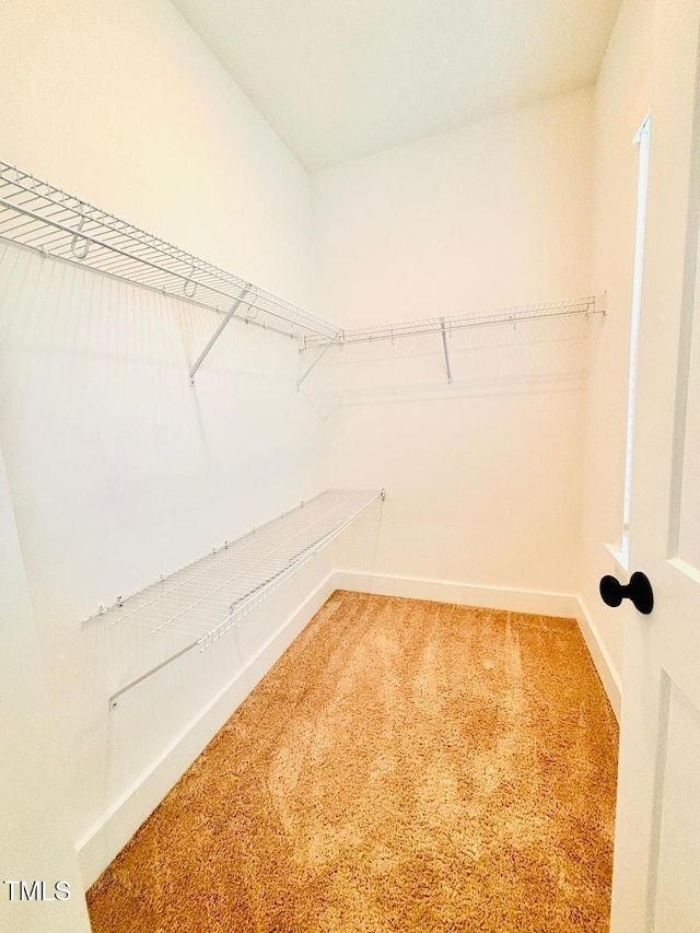 walk in closet featuring light carpet