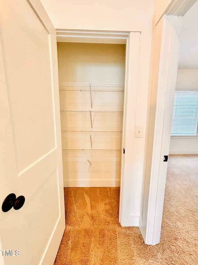 view of closet