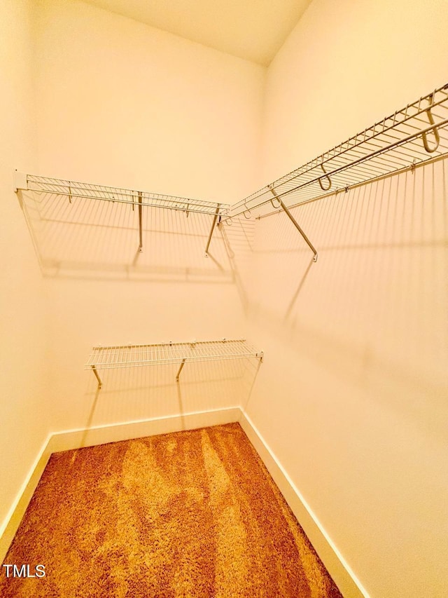 walk in closet with light colored carpet