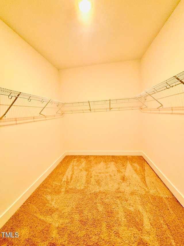 walk in closet featuring carpet flooring