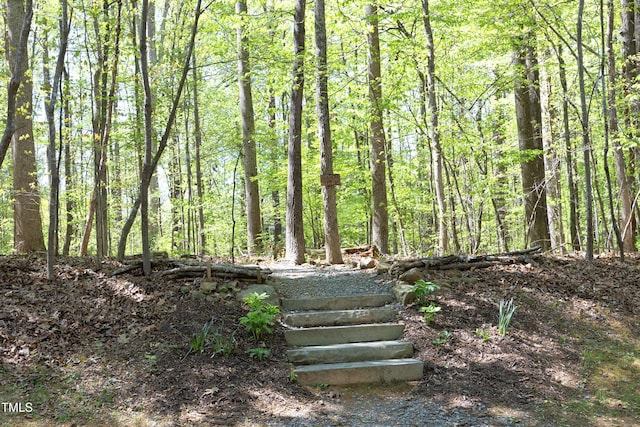 221 Ironwoods Dr, Chapel Hill, NC 27516 - view of nature featuring a forest view