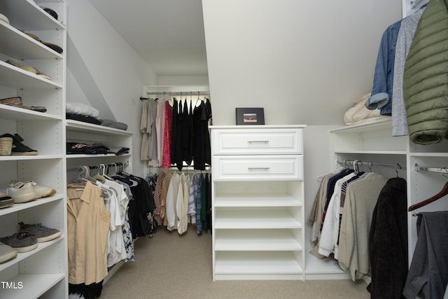 221 Ironwoods Dr, Chapel Hill, NC 27516 - walk in closet featuring carpet flooring