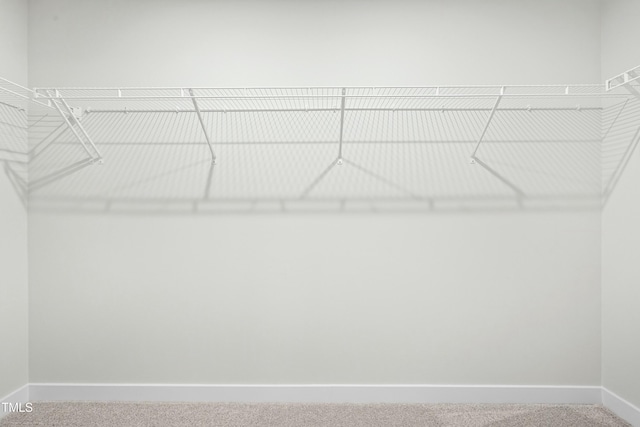 walk in closet with carpet