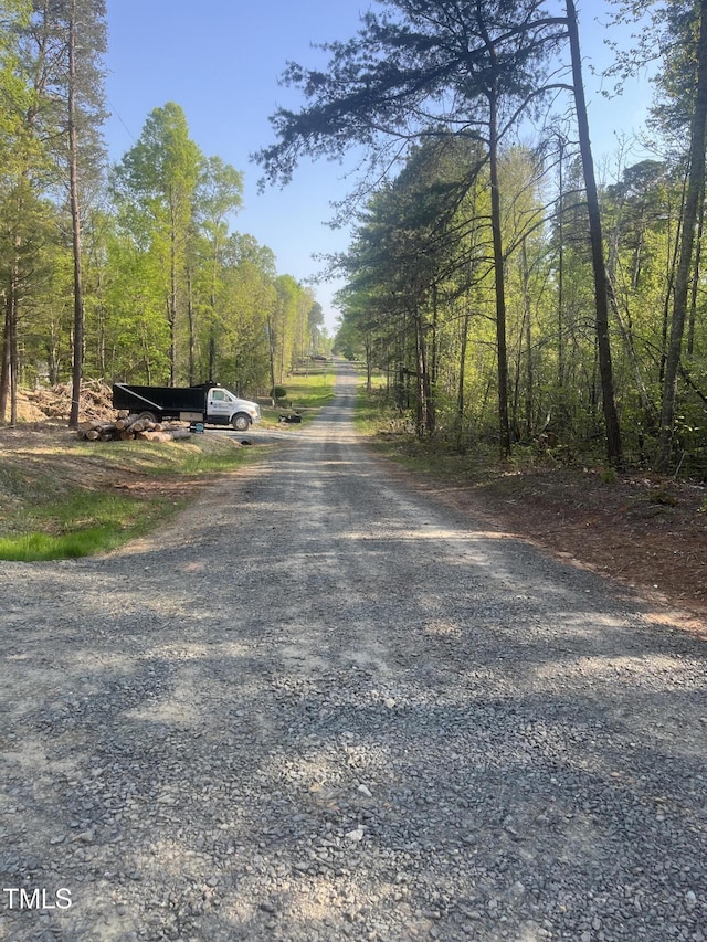 5875 Green Pine Rd, Cedar Grove, NC 27231 - view of dirt / gravel road