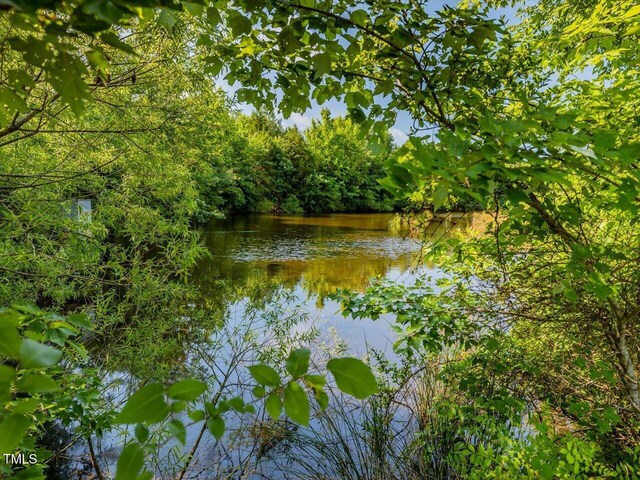 1604 Bonlee School Rd, Bear Creek, NC 27207