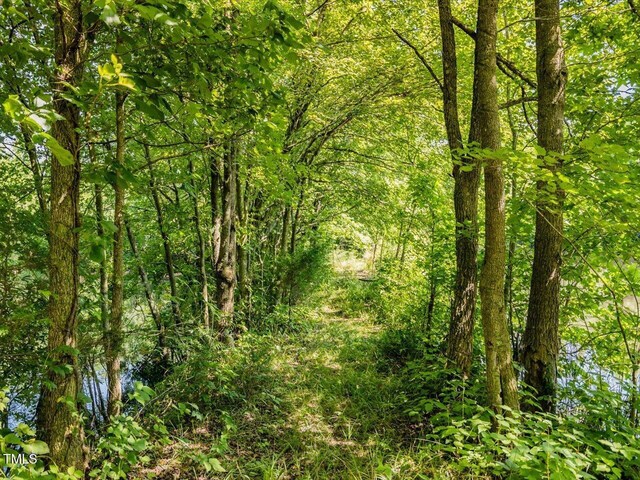 1604 Bonlee School Rd, Bear Creek, NC 27207