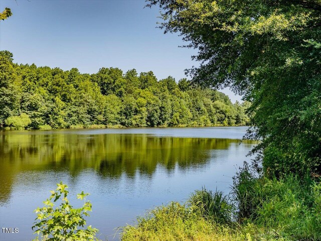 1604 Bonlee School Rd, Bear Creek, NC 27207